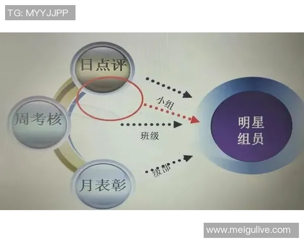 武汉羽毛球队个人能力引发热议球员表现与团队协作的深度探讨